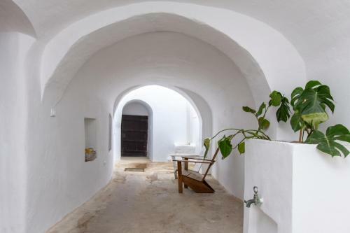 Apartamento Casa Ancha P�tio E Tanque