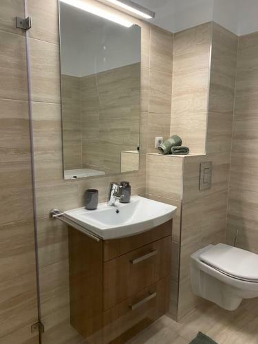 Apartament Volta- Cluj City