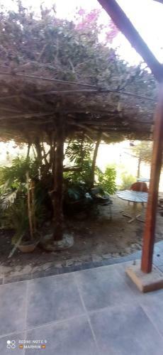 Hostal Terrazas Del Inca