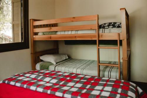 Canela Hostel