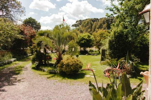 Canela Hostel
