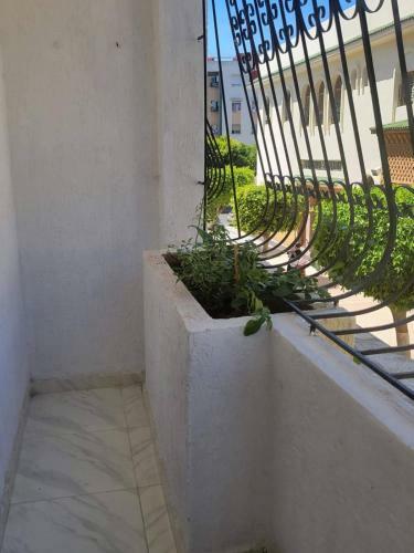 Apartamento Imane House