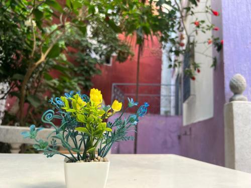 Bed & Breakfast Beraka House