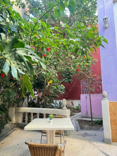Bed & Breakfast Beraka House