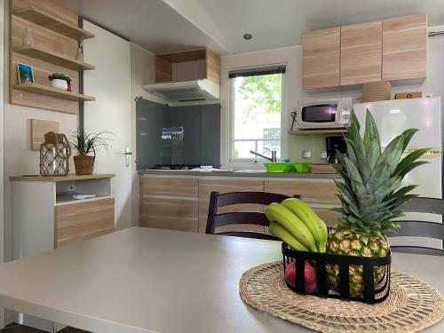 Mobil Home G058
