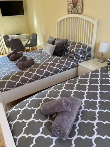 Bed & Breakfast The Ashton Mews