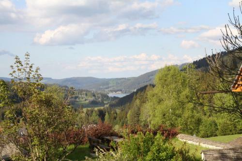 Hostal Hotel Adler B�rental