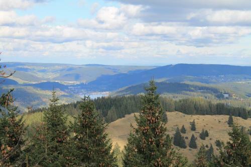 Apartamento Berghaus Feldberg-b�rental