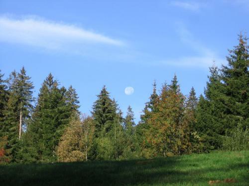 Hostal Pension Kastner