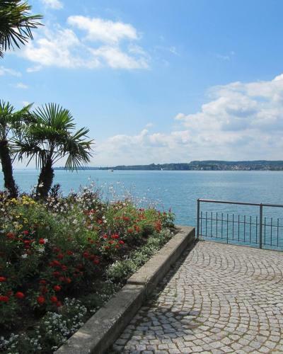 Hostal Gasthof Gr�ner Baum