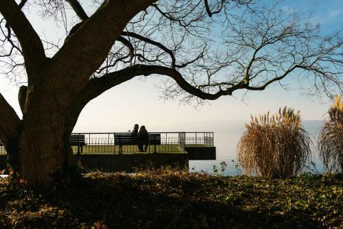 Apartamento Haus Zur Gerberei 100 M Zum Bodensee
