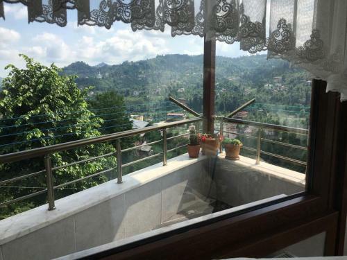 Hz Muzo Villas?