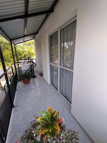 Apartamento Departamento Odi