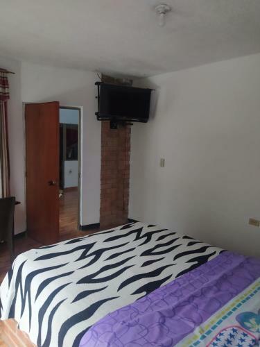 Hotel Jr