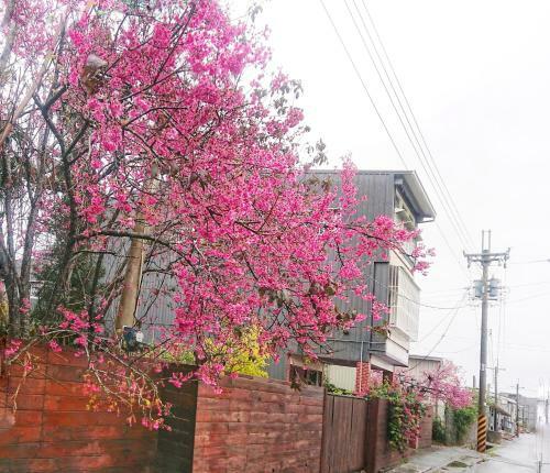 Xinshe Xiao Shu Time Homestay