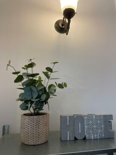 Apartamento Cozy 3 Bedrooms Home *off Mill Road*