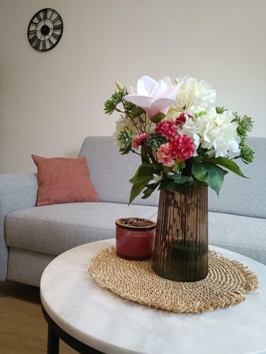 Apartman Dalmatinka