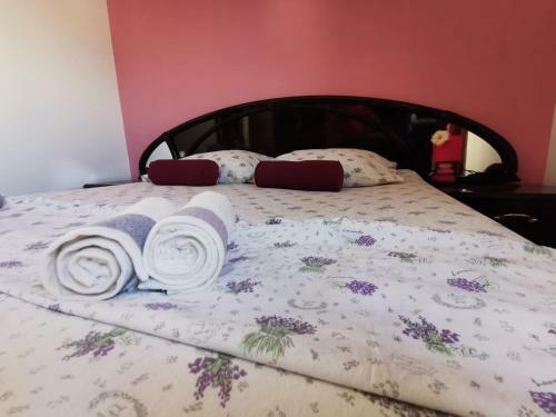 Antique Apartment Solin