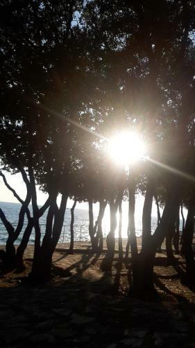Apartamento Maria