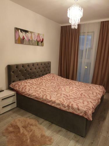 Andy Apartament