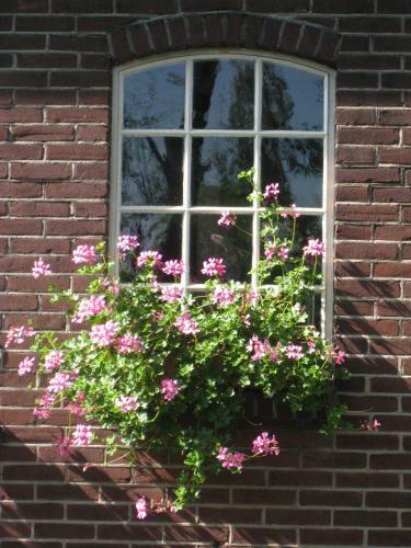 Bed & Breakfast Janz