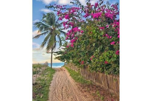 Casa Mandacaru, A 200m Da Praia, Icara�zinho