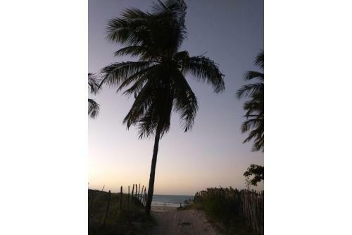 Casa Mandacaru, A 200m Da Praia, Icara�zinho