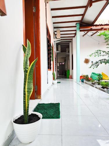 Hostal Homey Guesthouse Kertajaya (Syariah)
