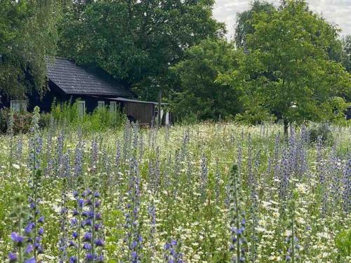Sfeervolle Landelijke Cottage Met Houtkachel