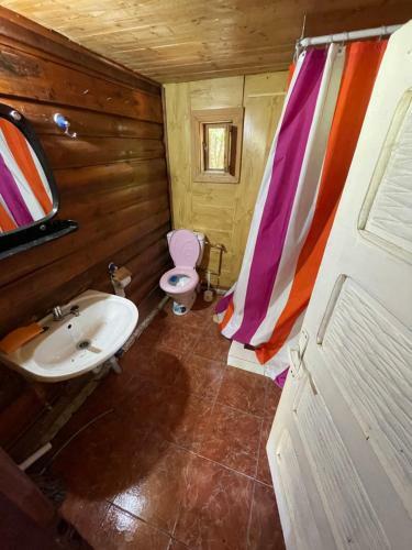 Cabana Trei Paltini