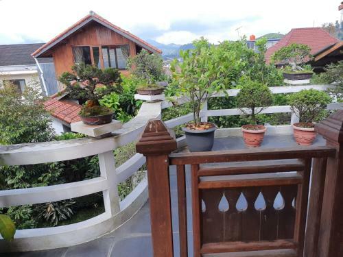 Marty's Ethnic Villa