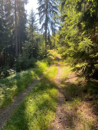 Apartm�n Meluz�na