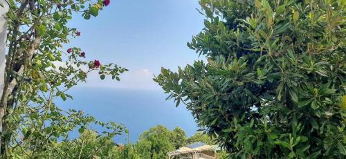 Kiki's_view
