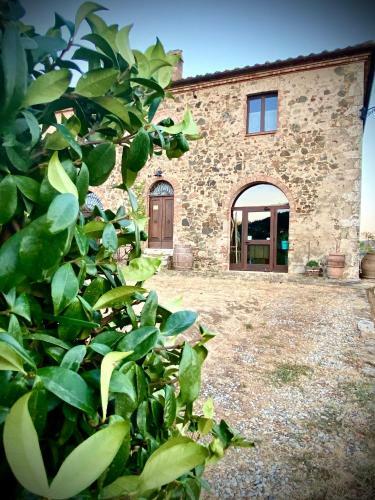 Agroturismo Agriurismo Podere Casella