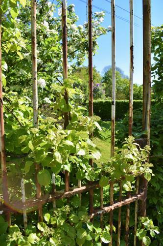 Gites-clairiere-ardenne