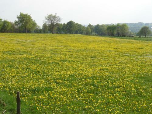 Das Altes Backhaus