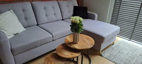 Loft Apartment " Amadeus " Tymienieckiego