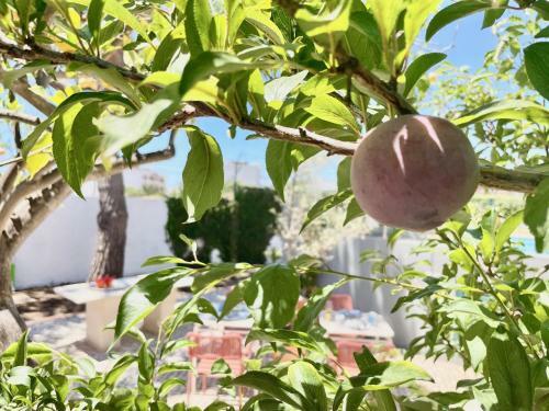 Hostal Charm Of The Algarve