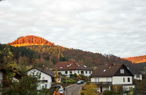 Apartamento G�stehaus Heller