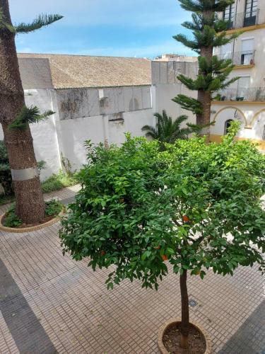 Apartamentos San Bartolome