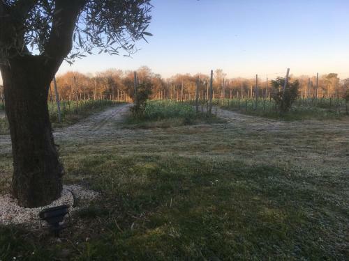 G�te Les Vignes