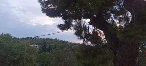Apartamento Kanitsis House