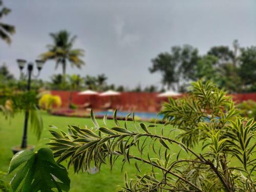 Surendra Trident Hotel