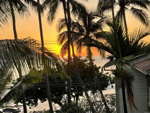 Apartamento Best Location Hawaiian Charm W/modern Amenities