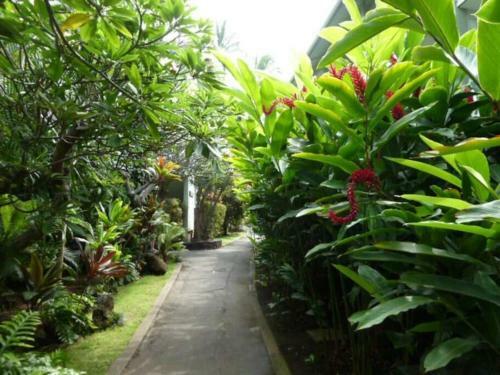 Apartamento Best Location Hawaiian Charm W/modern Amenities