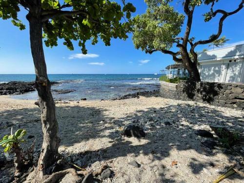 Apartamento Best Location Hawaiian Charm W/modern Amenities