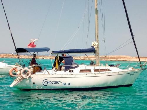 Alquiler De Velero