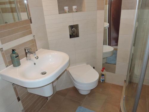 Apartamento Appartment In Wiselka For 5 People With Swimming Pool And Sauna