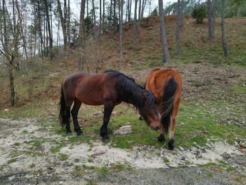 Apartamento Casa Do Vale - Casa Termal - Ger�s/xures