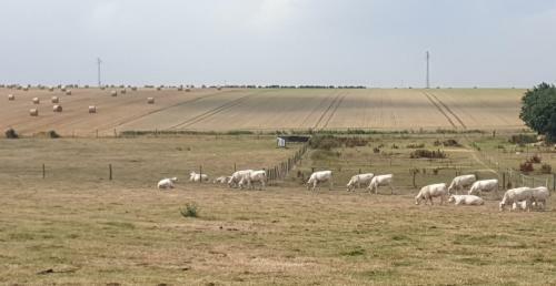 G�te La Foresti�re